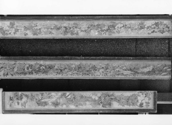 Vénus
Bordure latérale droite